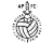 logo ANGOLO PALLADIO