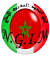 logo NGIM VICENZA